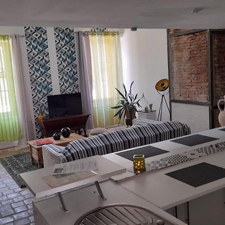 Tournus Castrum Romain- Loft 90M2 - 3 Etoiles - Petit Box Velo - 5Mn Autoroute Eksteriør billede